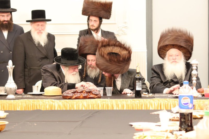 שימי פ.
