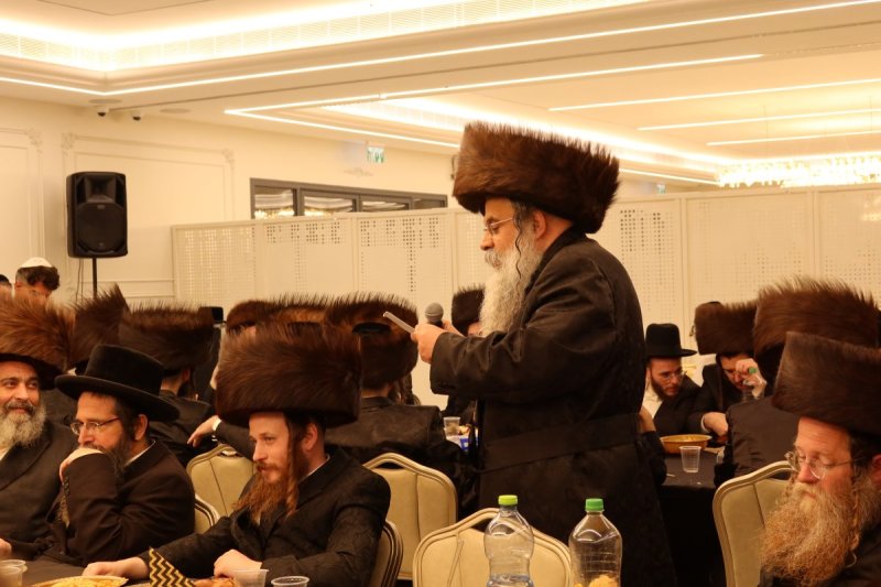 שימי פ.