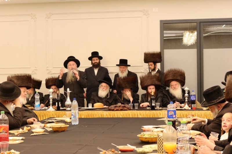 שימי פ.