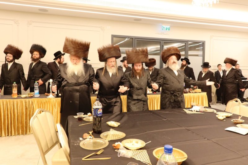 שימי פ.