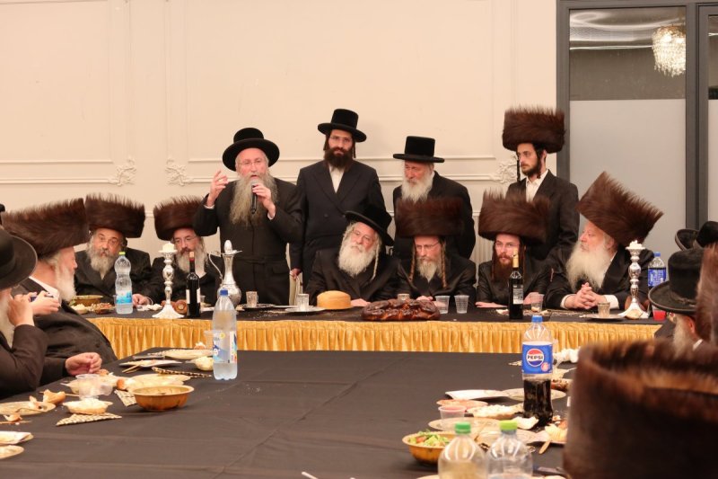 שימי פ.