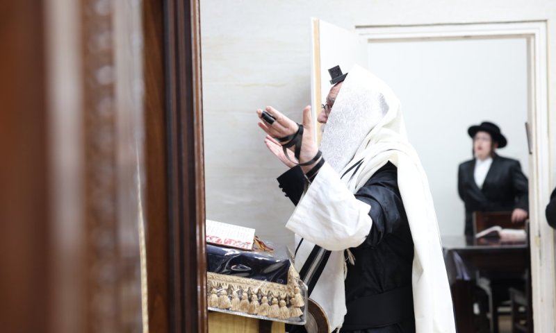 השופר שהרעיד את נתניה: ראש חודש אלול אצל הרבי מצאנז