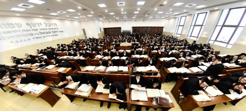 שוקי לרר