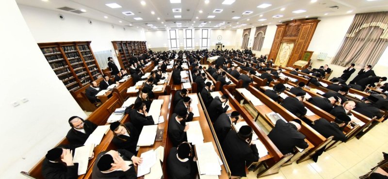 שוקי לרר