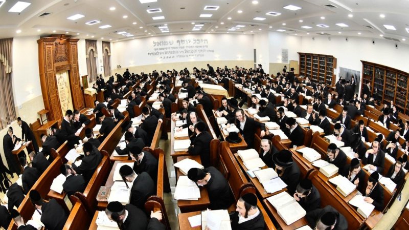 שוקי לרר