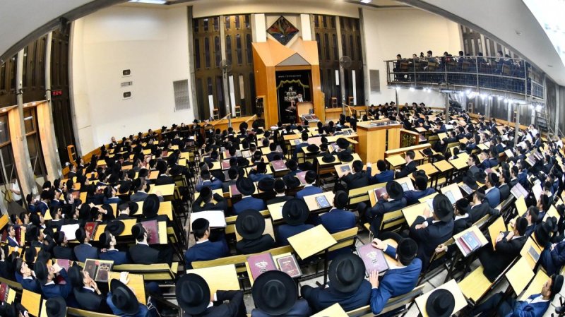 שוקי לרר
