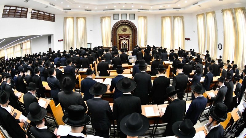 שוקי לרר