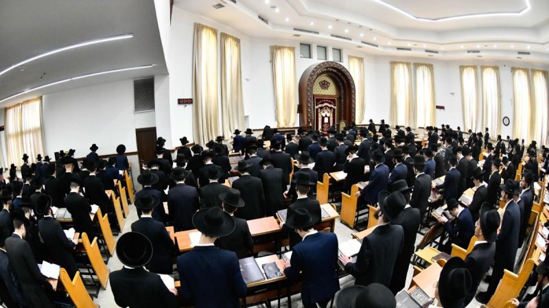 שוקי לרר