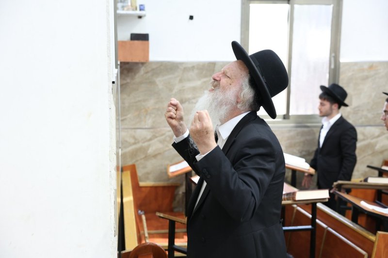 יעקב כהן