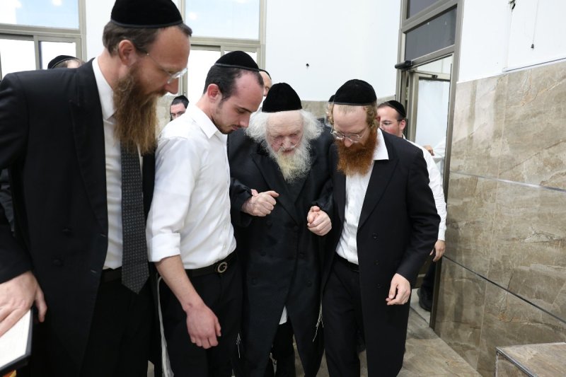 יעקב כהן