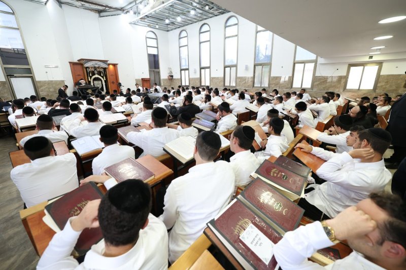 יעקב כהן