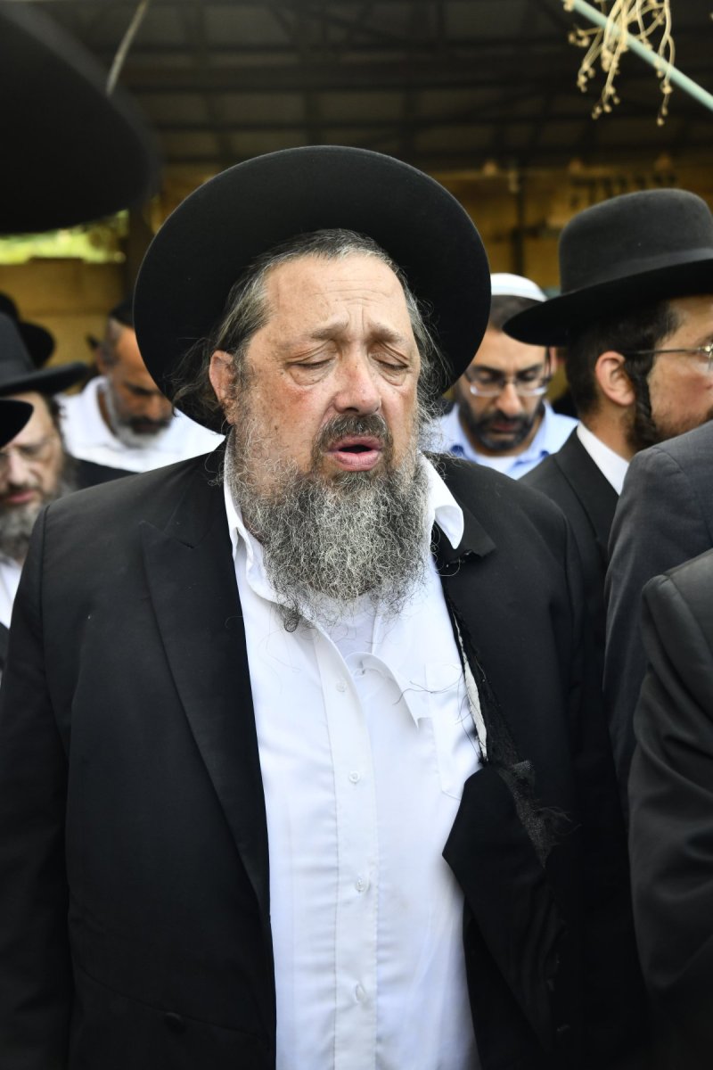 שוקי לרר