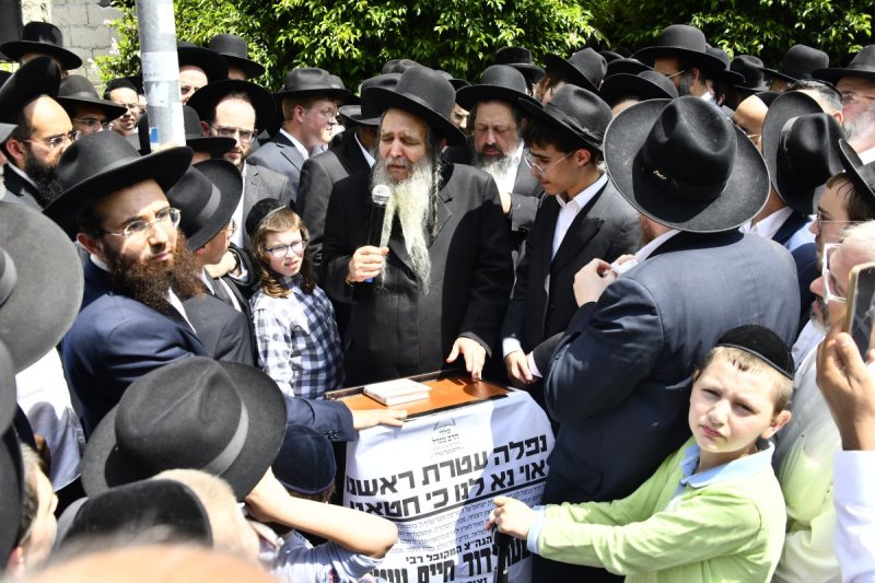 שוקי לרר