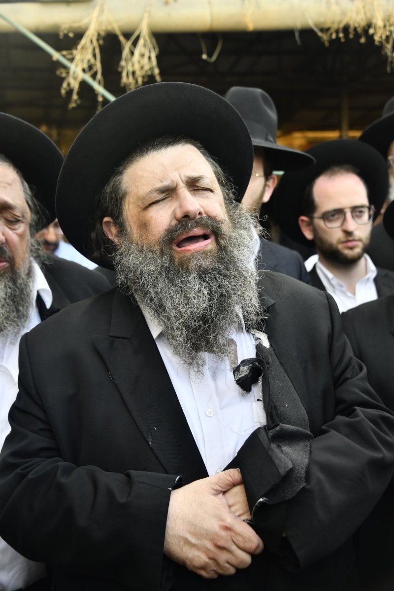שוקי לרר