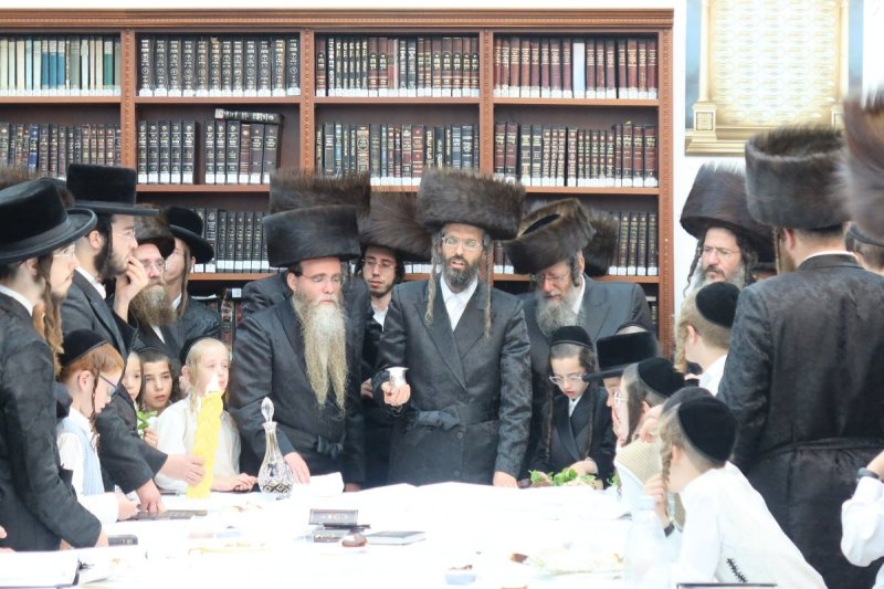 שימי פ.