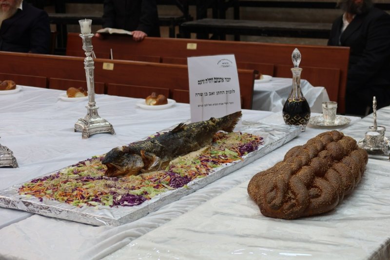 שימי פ.