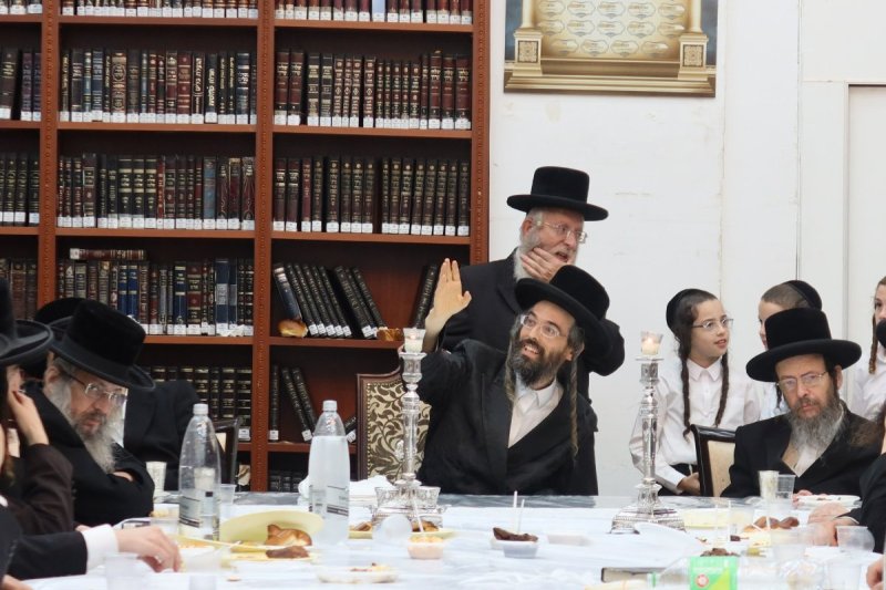 שימי פ.