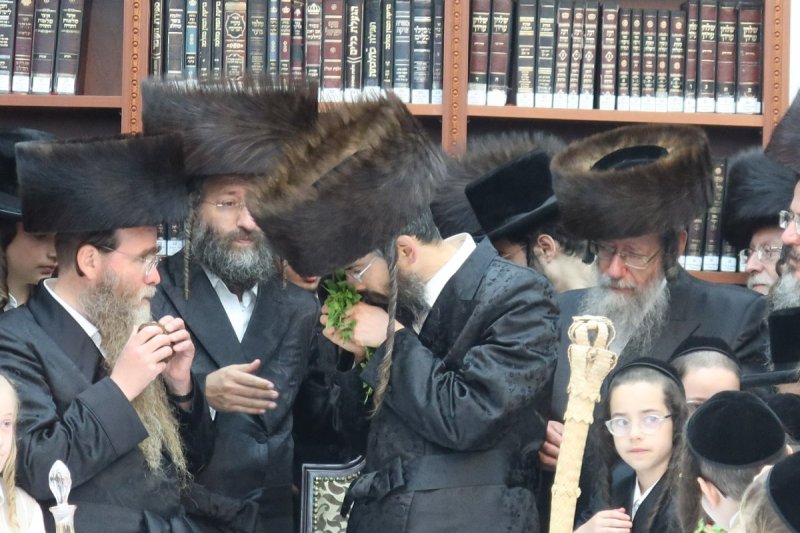 שימי פ.