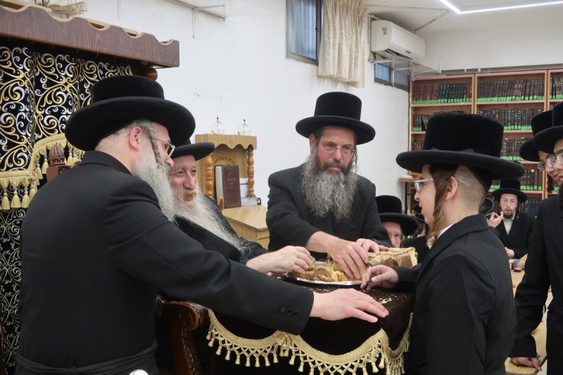 שימי פ.