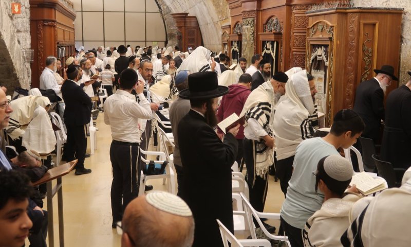 הרבי החדש מארה"ב עמד בכותל המערבי ואמר סליחות עם התימנים