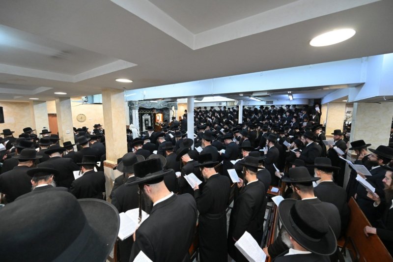 אלימלך פסיקוב