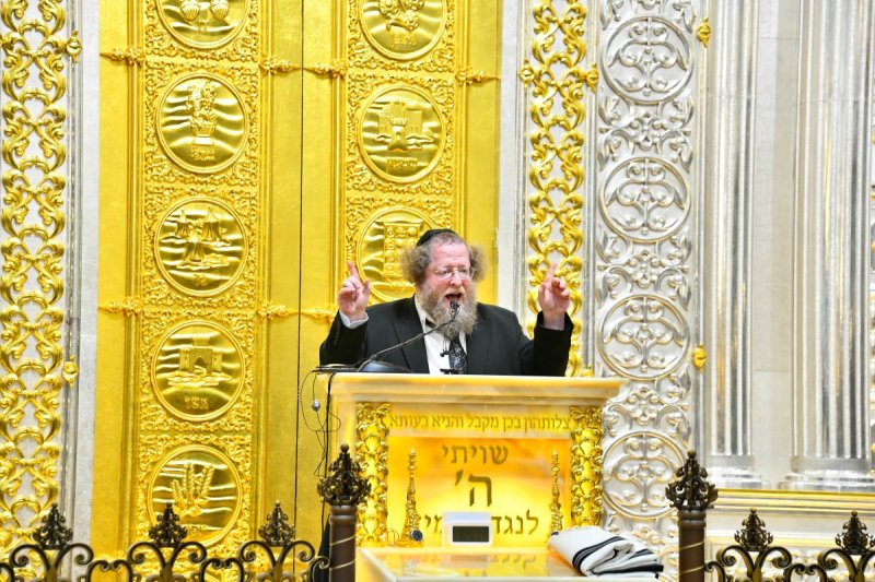 שוקי לרר