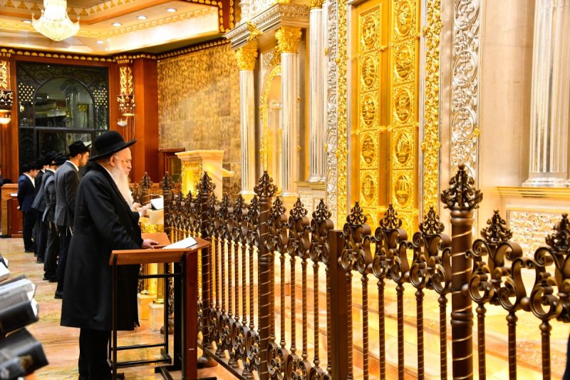 שוקי לרר
