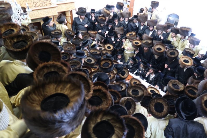 מ.א נוימן