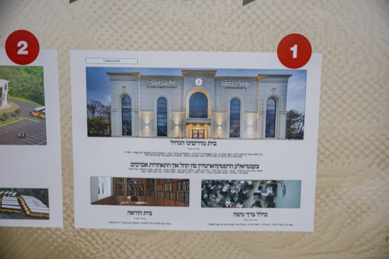 אלי שווארץ