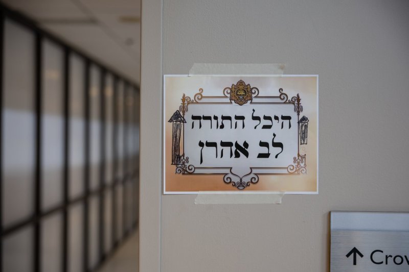 אלי שווארץ
