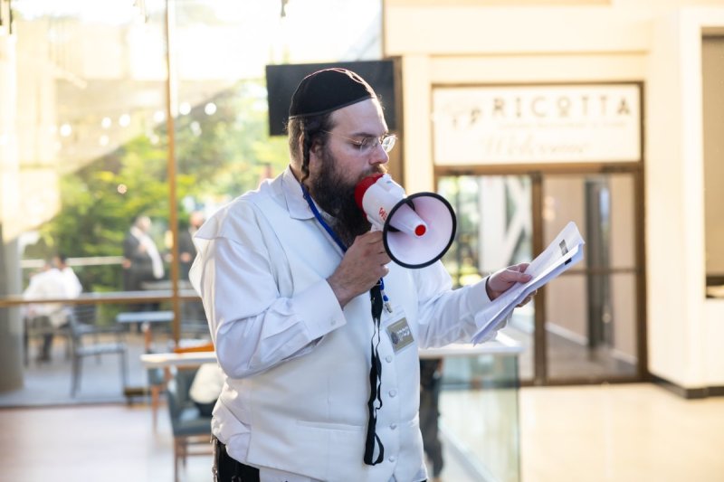 אלי שווארץ