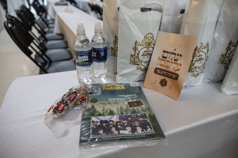 אלי שווארץ