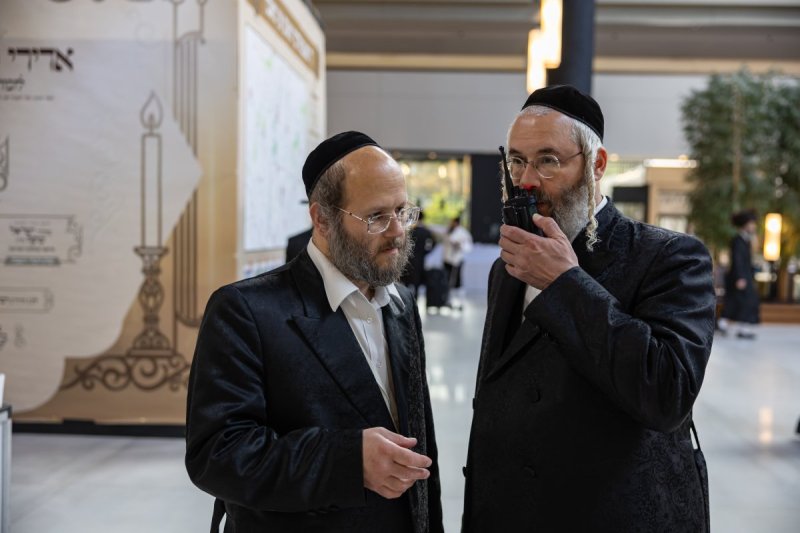 אלי שווארץ