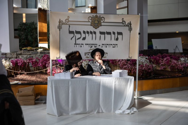 אלי שווארץ