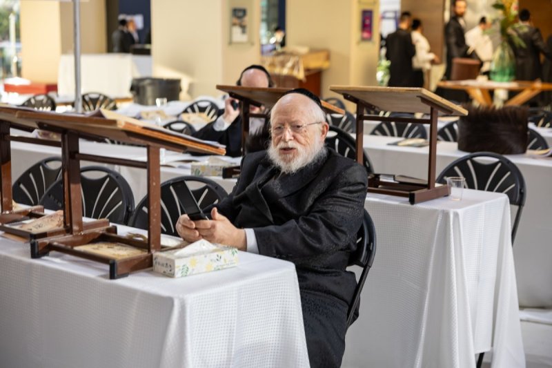 אלי שווארץ