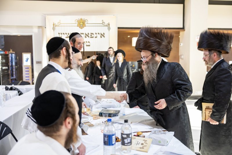 אלי שווארץ