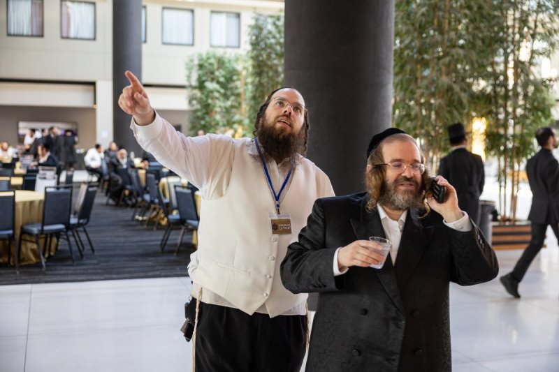 אלי שווארץ