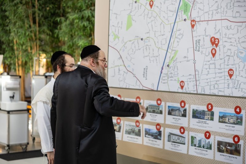 אלי שווארץ