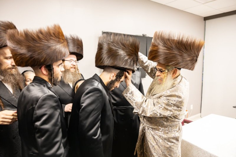 אלי שווארץ