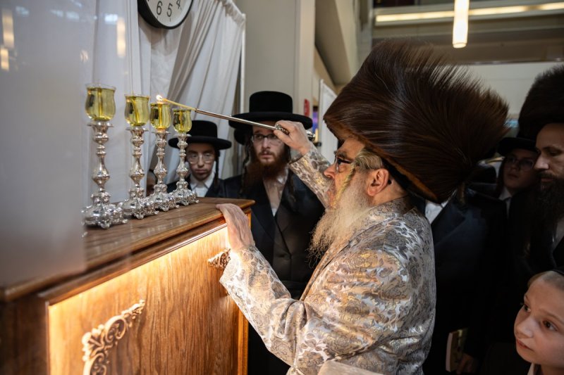 אלי שווארץ