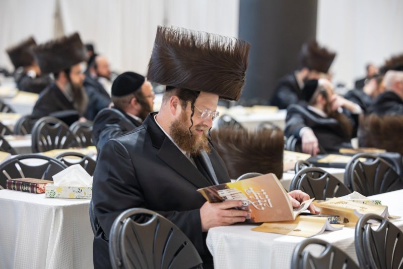 אלי שווארץ