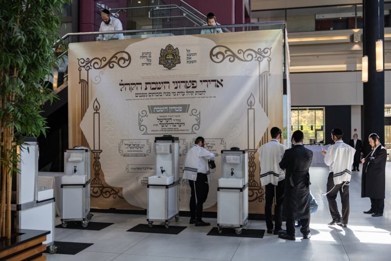 אלי שווארץ