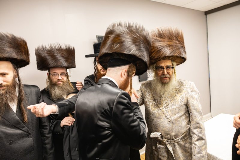 אלי שווארץ