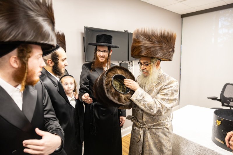 אלי שווארץ