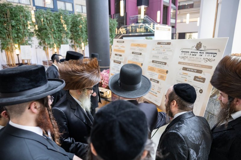אלי שווארץ