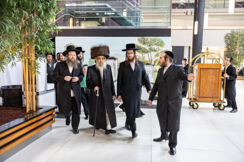 אלי שווארץ
