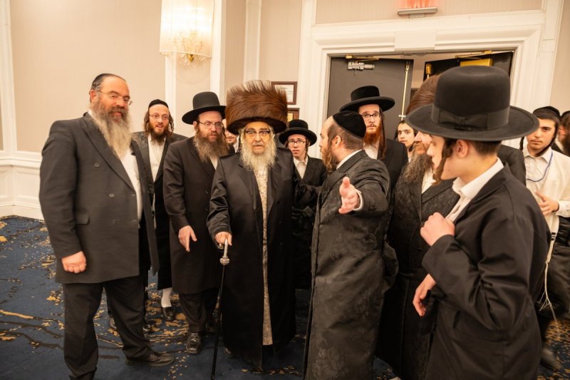 אלי שווארץ