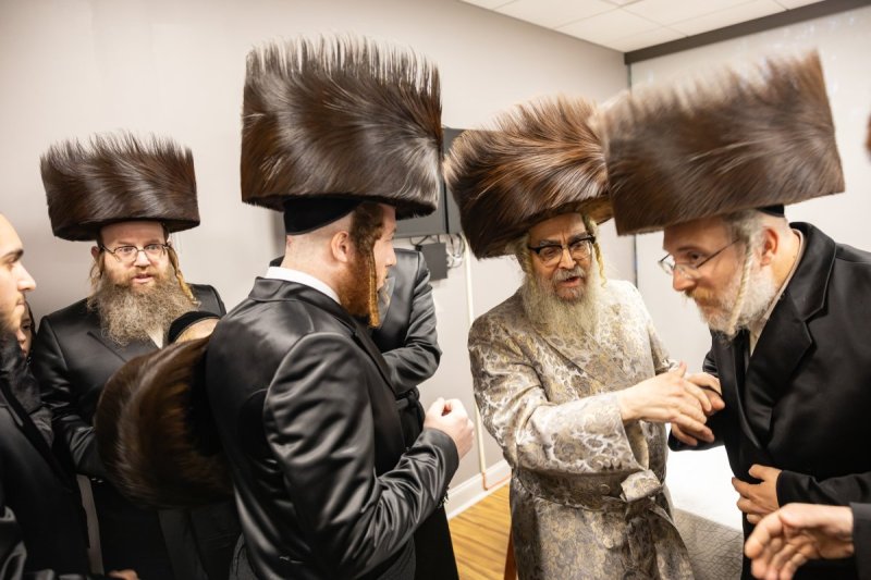 אלי שווארץ