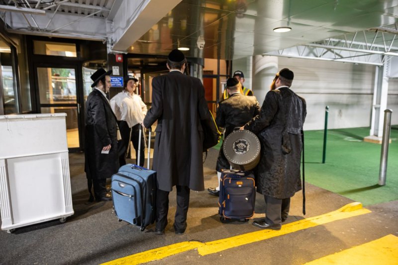 אלי שווארץ