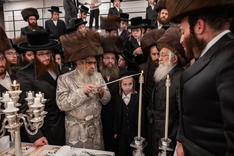 אלי שווארץ